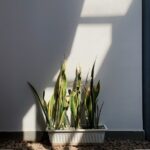 Simple Ways to Create a Relaxing Outdoor Space in Your Garden